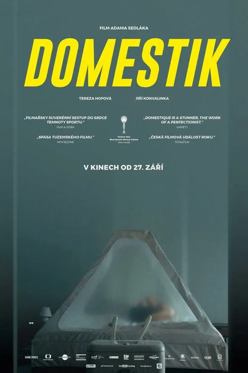 Póster de Domestik