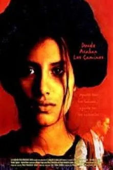 Póster de Donde acaban los caminos