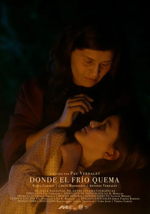 Póster de la película Donde el frío quema