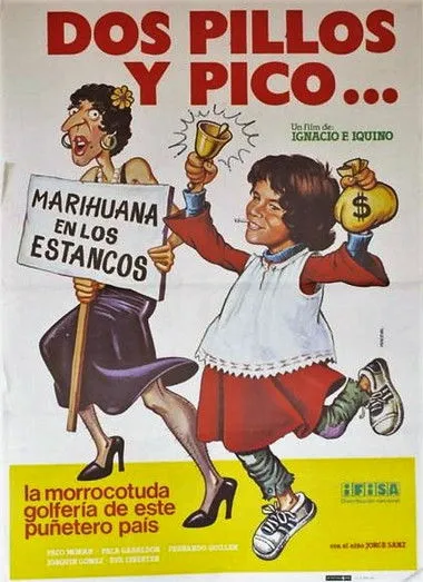 Póster de la película Dos pillos y pico