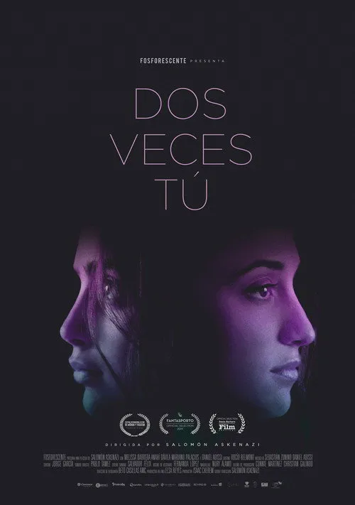 Póster de Dos veces tú
