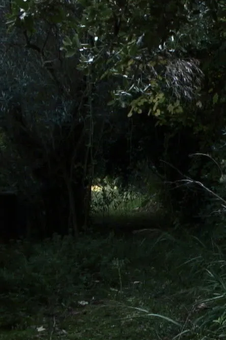 Portada de Dove Non Siamo Stati