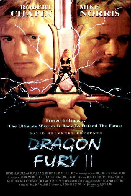 Póster de Dragon Fury II