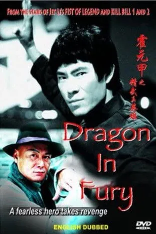 Póster de Dragon in Fury