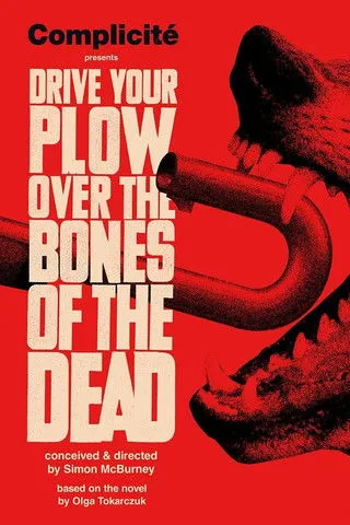 Póster de Drive Your Plow Over the Bones of the Dead