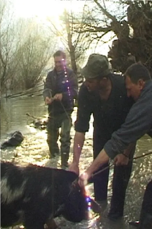 Vladimir Savcic 'Cobi' interpreta a en Dunavska sapunska opera