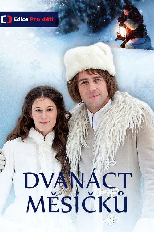 Póster de Dvanáct měsíčků