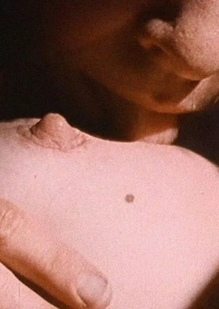 Barbara Hammer interpreta a Woman Making Love en Dyketactics