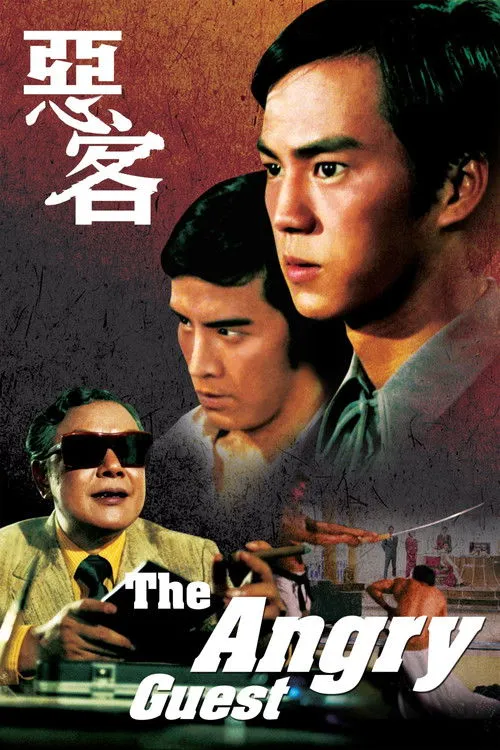 Póster de la película Los asesinos del Kung Fu