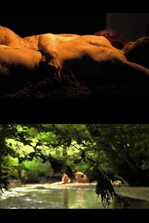 Póster de Ecosex, a User's Manual