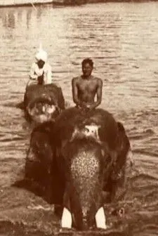 King Edward VIII of the United Kingdom interpreta a  en Edward Prince of Wales' Tour of India: Indore, Bhopal, Gwalior and Delhi