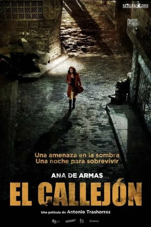 Póster de El callejón