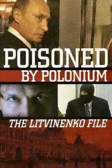 Póster de El caso Litvinenko