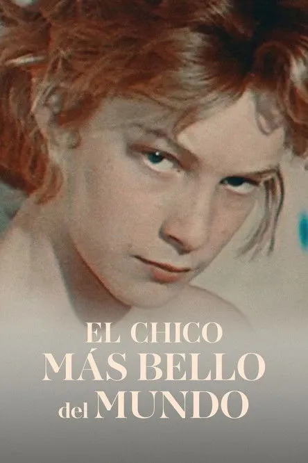 Póster de El chico más bello del mundo