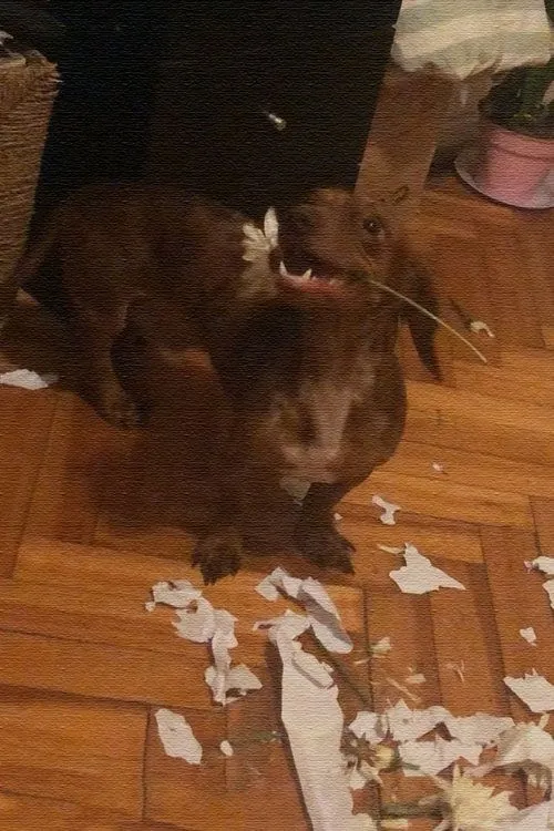 Portada de El Desayuno