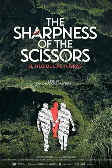 Póster de El filo de las tijeras