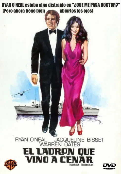 Póster de la película El ladrón que vino a cenar