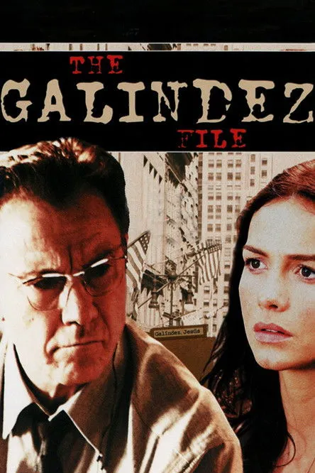 Póster de El misterio Galíndez