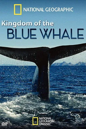 Póster de El Reino de la Ballena Azul