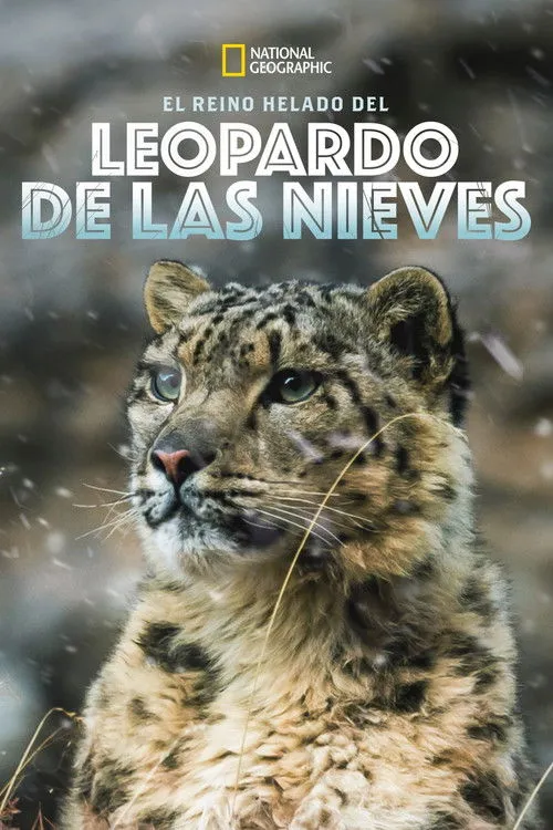 Portada de El Reino Helado del Leopardo de las Nieves