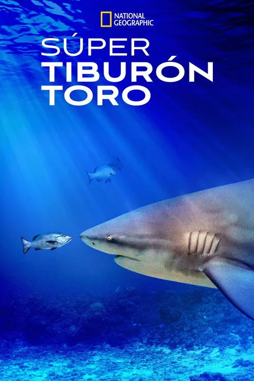 Portada de El tiburón toro mas grande del mundo