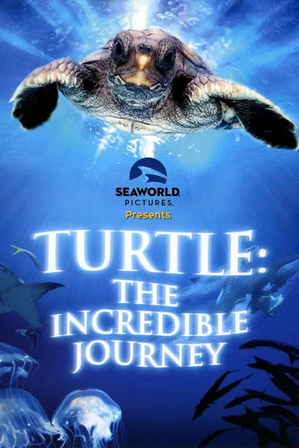Póster de El viaje de la tortuga
