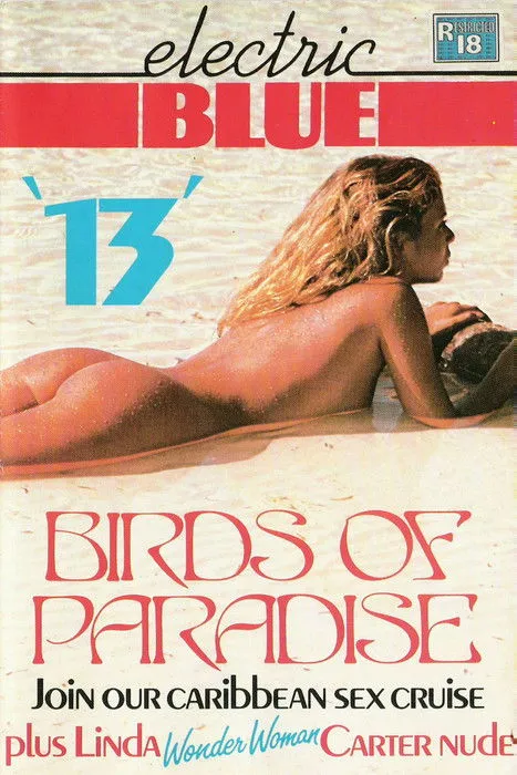 Póster de la película Electric Blue 13