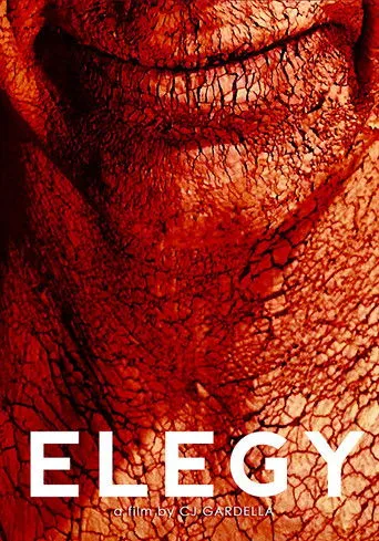 Póster de Elegy