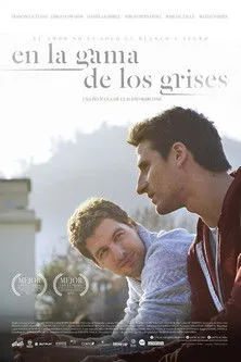 Póster de En la gama de los grises