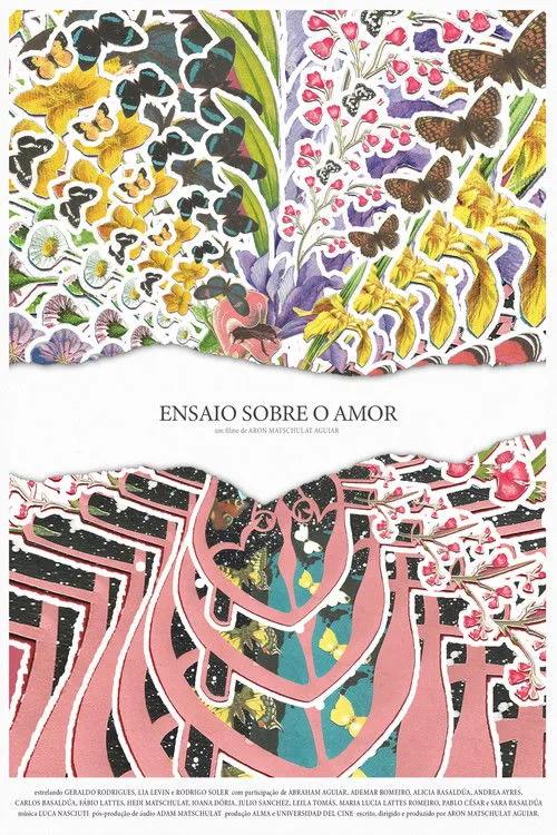 Póster de Ensaio sobre o amor
