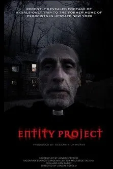 Póster de Entity Project