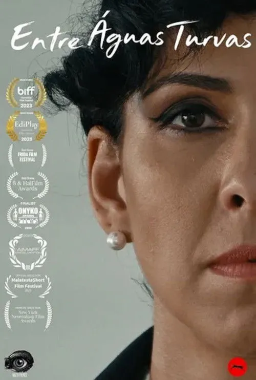 Póster de la película Entre Águas Turvas