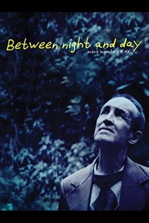 Póster de Entre la noche y el día