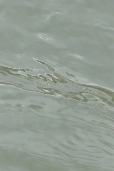 Clara Elig interpreta a Elise en entre les vagues (un hommage)