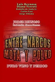 Póster de Entre narcos, mota y polvo