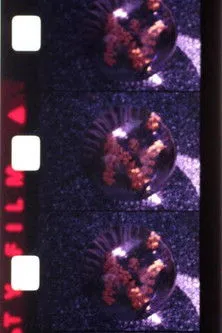 Léon Pizano interpreta a  en Éphémère