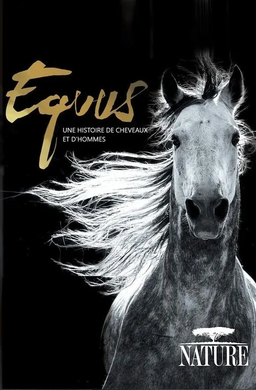 Niobe Thompson interpreta a en Equus, une histoire de chevaux et d'hommes
