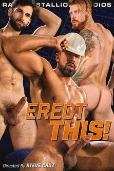 Póster de Erect This!