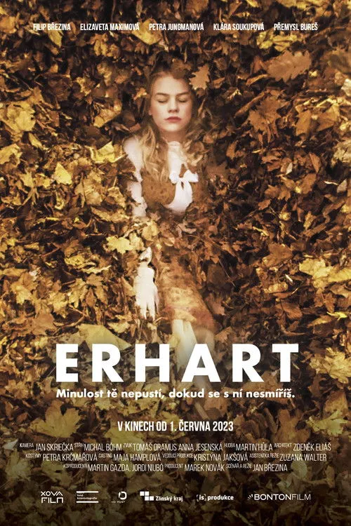 Póster de Erhart