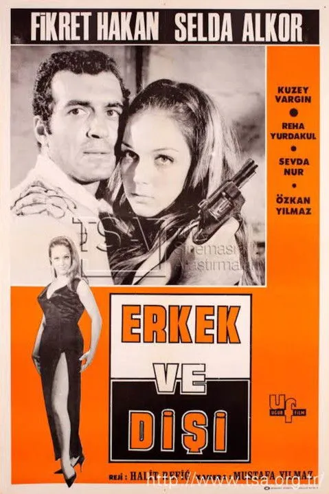 Póster de la película Erkek ve Dişi