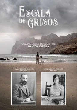 Póster de Escala de grises
