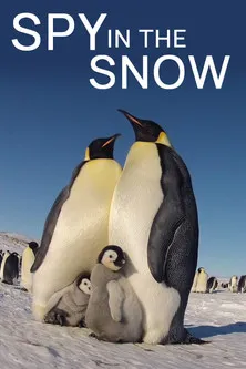 Póster de la película Espía en la nieve