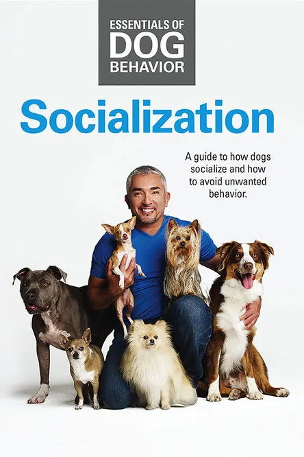 Cesar Millan interpreta a Himself en Essentials of Dog Behavior: Socialization