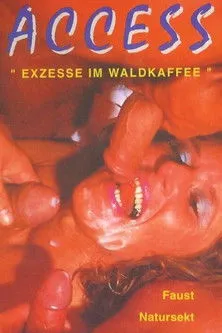 Póster de la película Exzesse im Waldkaffee