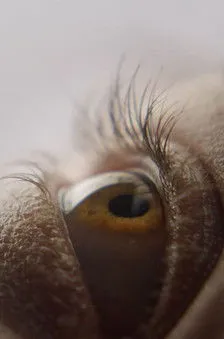 Joette Waters interpreta a Human Resource Manager en Eyelash