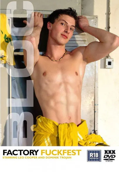 Póster de Factory Fuckfest
