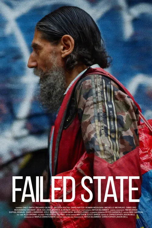 Póster de Failed State