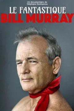 Póster de la película Fantástico Sr. Murray