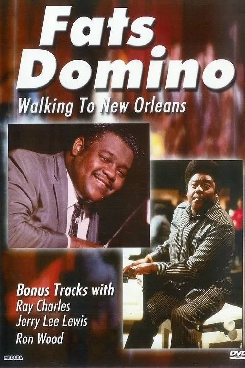 Póster de Fats Domino: Walking to New Orleans Live