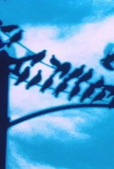 Póster de la película Faultlines